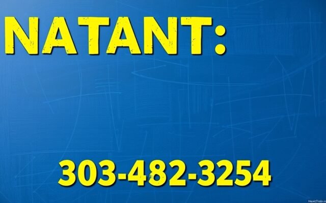 DesignMode24 Contact Number (2026): What Is Real, What Is Fake, and How to Verify It
